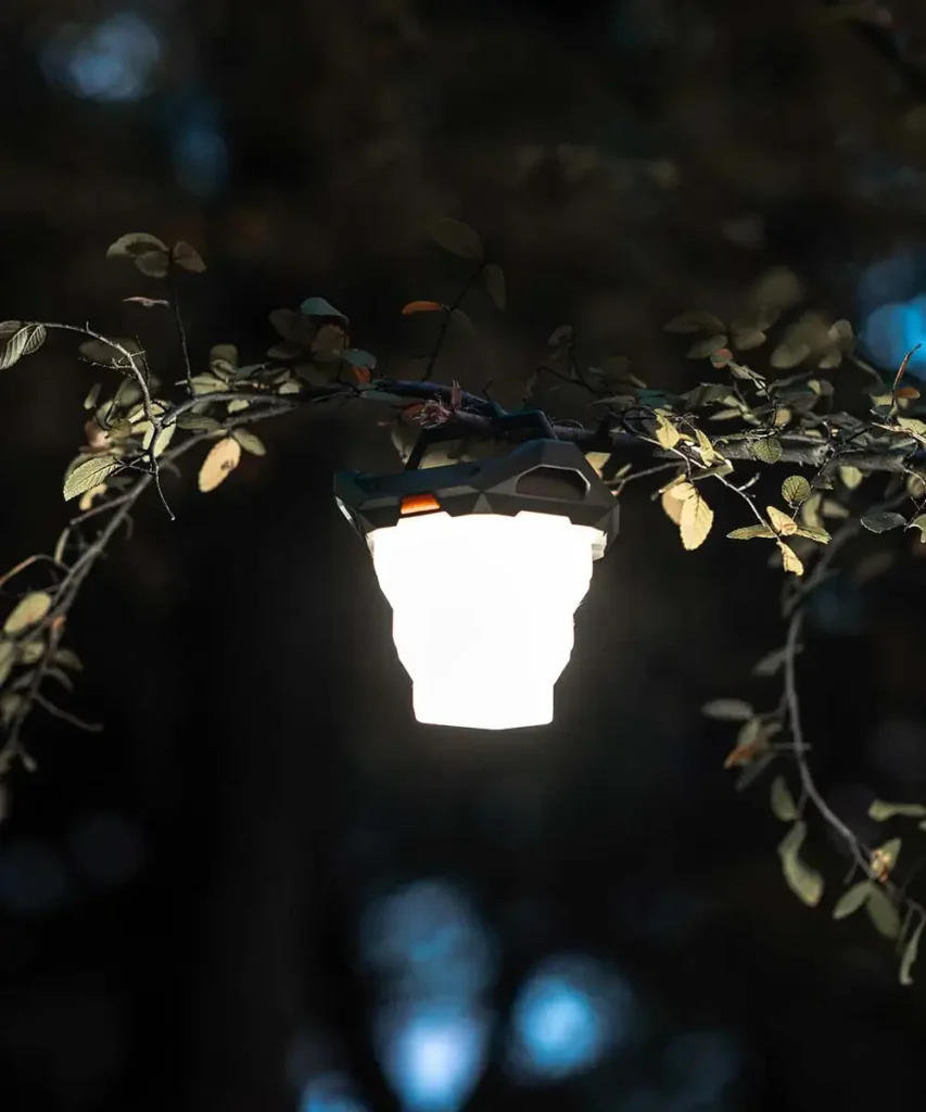 Lantern Attached to a tree branch